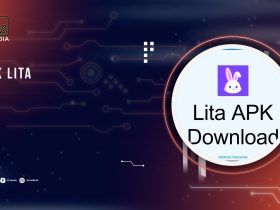 apk lita