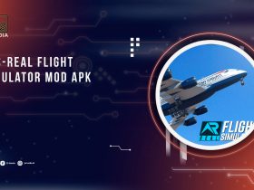 RFS Real Flight Simulator