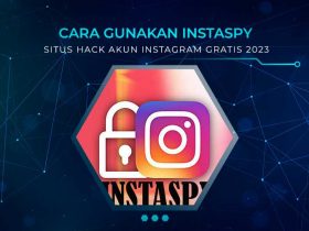 Instaspy