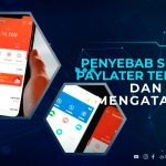 penyebab Shopee Paylater Terkunci