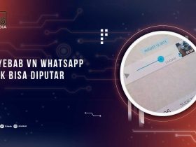 Penyebab VN Whatsapp Tidak Bisa Diputar