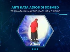 Arti Adios di Meme