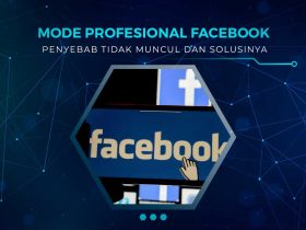 Kenapa Mode Profesional FB Tidak Muncul
