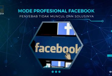 Kenapa Mode Profesional FB Tidak Muncul