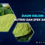 Daun Kelor: Kandungan, Manfaat dan Cara Mengolahnya