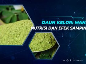 Daun Kelor: Kandungan, Manfaat dan Cara Mengolahnya