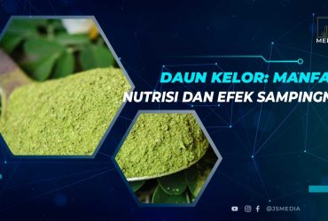 Daun Kelor: Kandungan, Manfaat dan Cara Mengolahnya