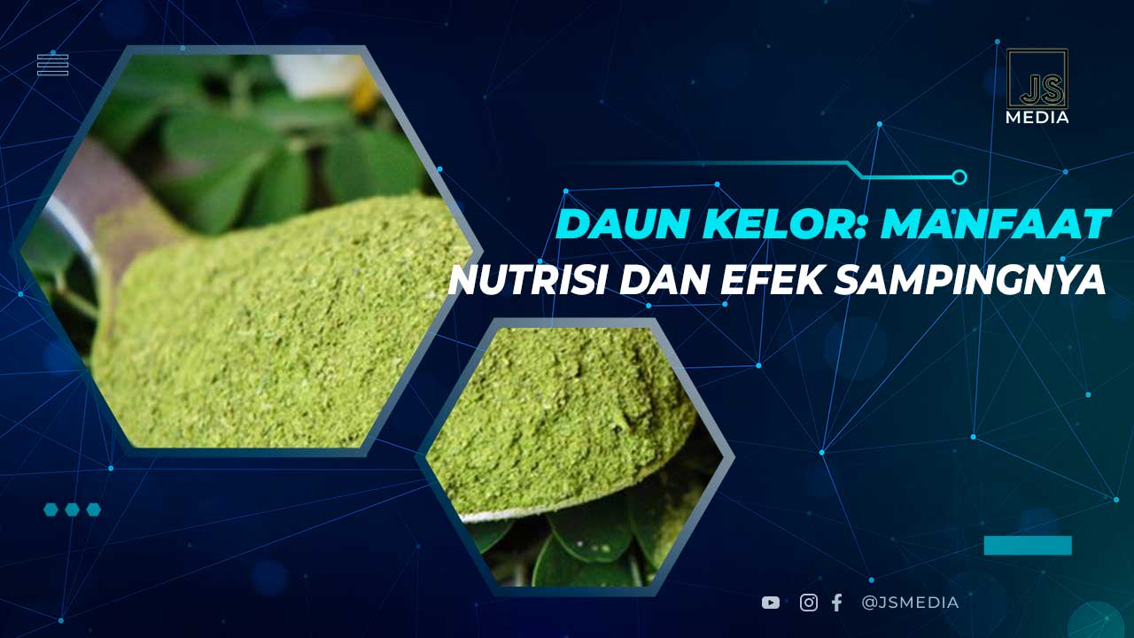 Daun Kelor: Kandungan, Manfaat dan Cara Mengolahnya