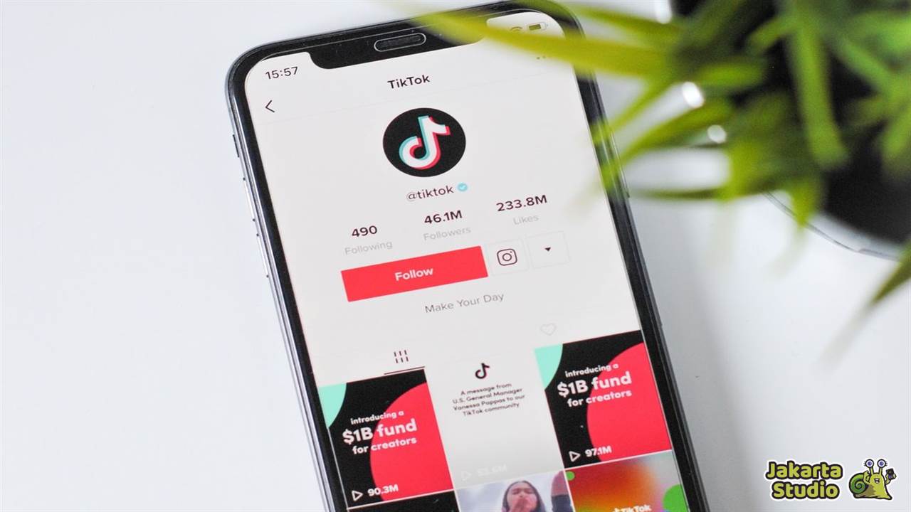 Akun TikTok Tidak Bisa Follow 