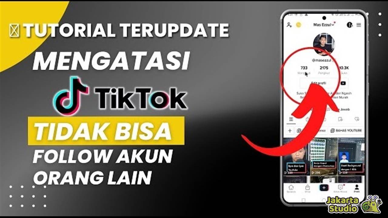 Akun TikTok Tidak Bisa Follow 