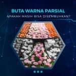 Apakah Buta Warna Parsial Bisa Disembuhkan