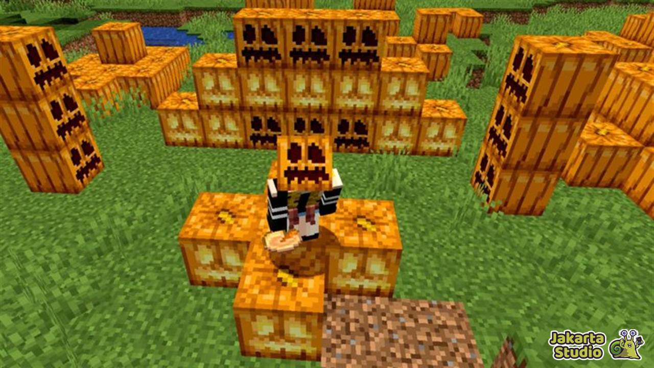 Cara Mendapatkan Pumpkin di Minecraft 