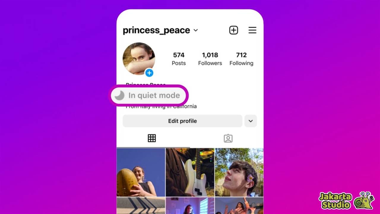 Cara Mengaktifkan Mode Senyap Instagram 