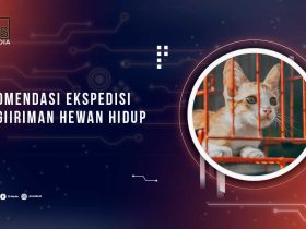 Ekspedisi Pengiriman Hewan Terbaik