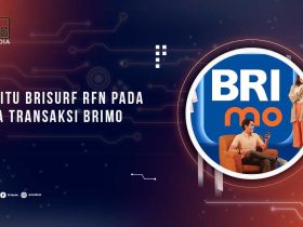 Apa Itu BRISURF RFN BRImo