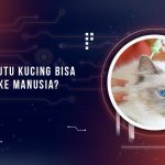 Apakah Kutu Kucing Menular ke Manusia