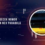Cara Cek Nomor Pelanggan Nex Parabola
