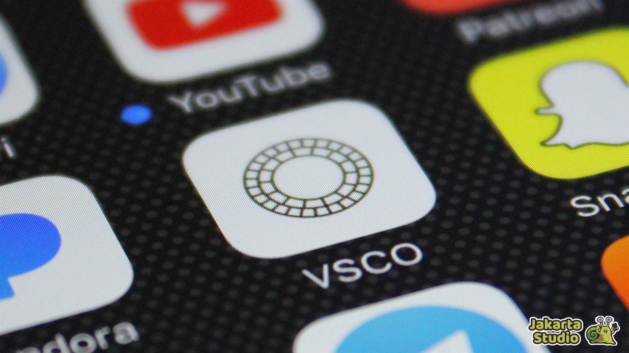 Download VSCO Pro Mod APK