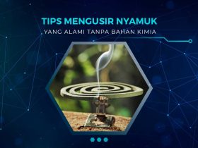 Cara Mengusir Nyamuk Paling Ampuh