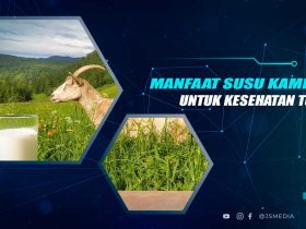 Manfaat Susu Kambing Untuk Kesehatan