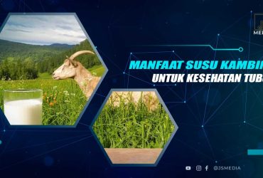 Manfaat Susu Kambing Untuk Kesehatan