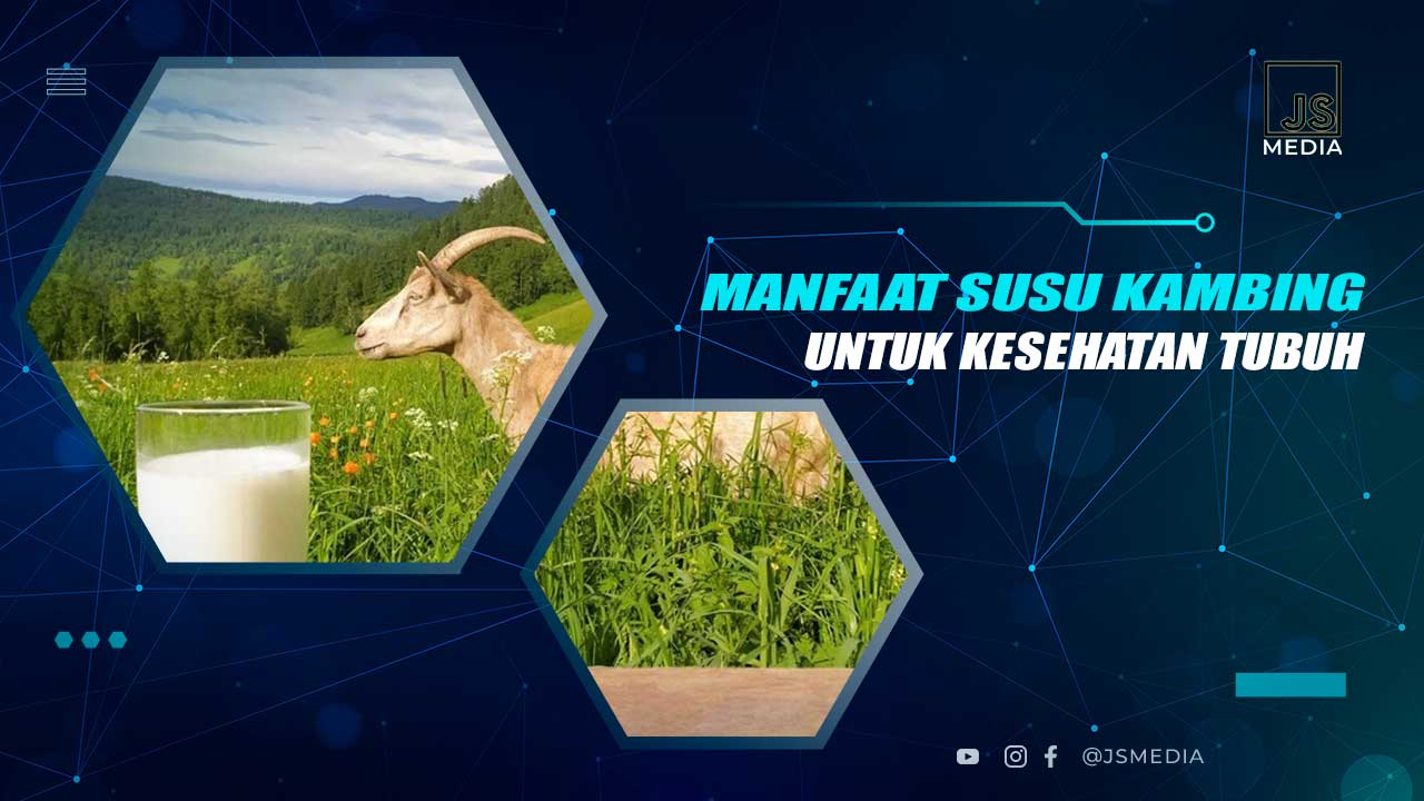 Manfaat Susu Kambing Untuk Kesehatan