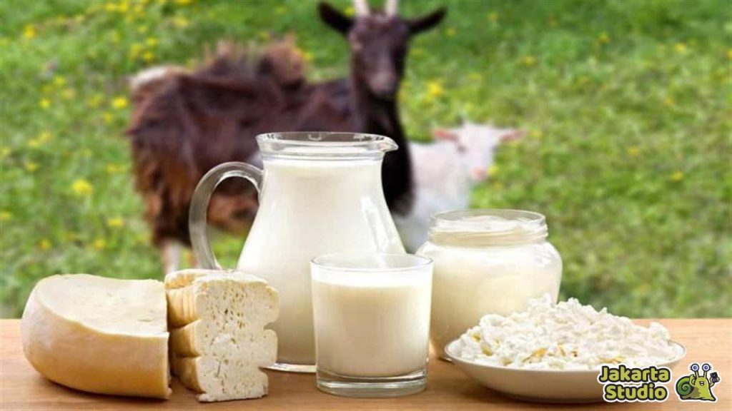 Manfaat Susu Kambing Untuk Kesehatan