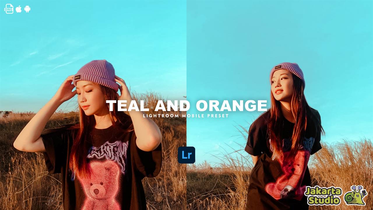 Rumus Preset Teal and Orange Lightroom