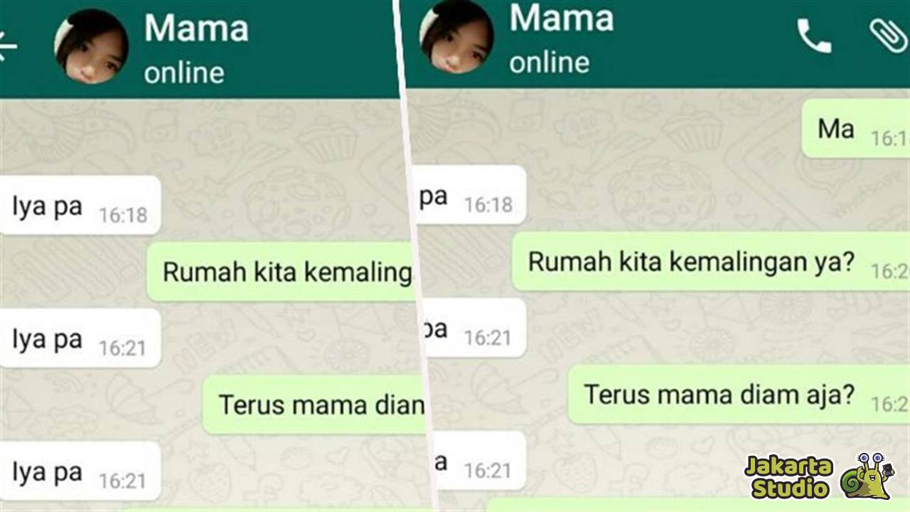 Arti Dry Text dan Skena WA