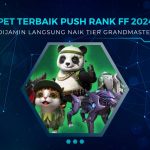 Pet Terbaik Untuk Push Rank FF 2024