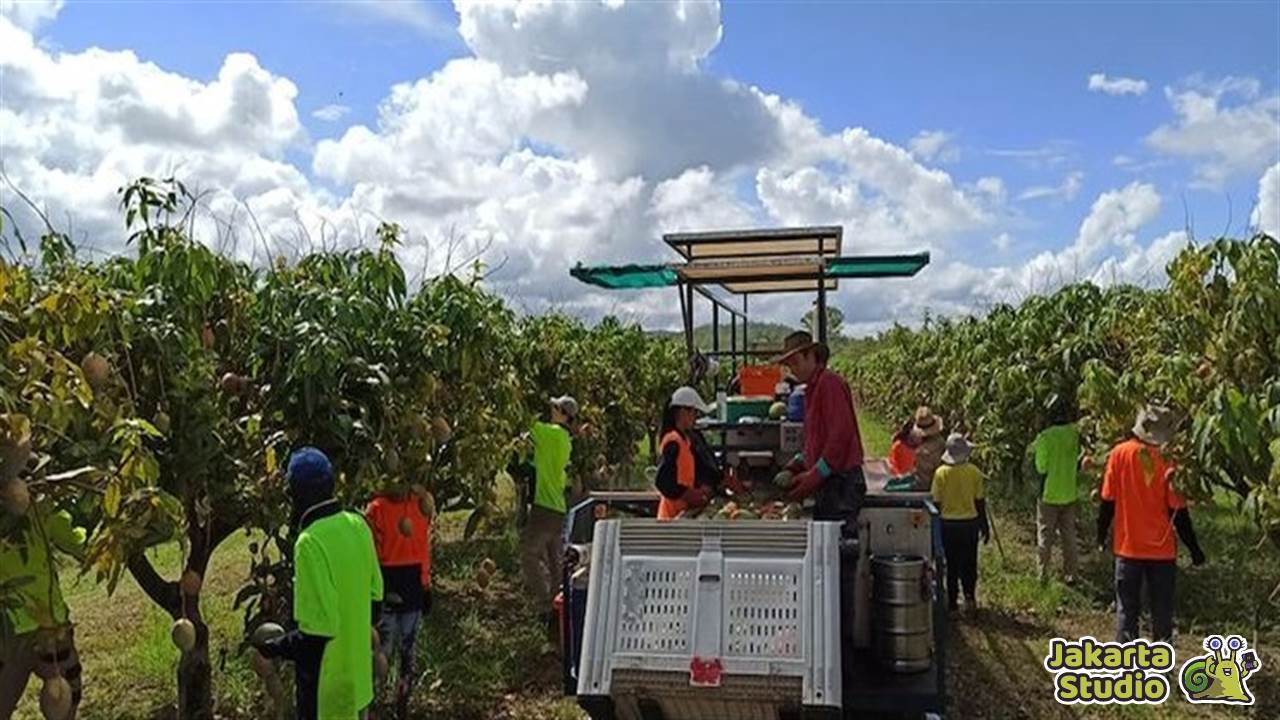 Lowongan Kerja di Australia