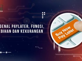 Mengenal Layana n Paylater (