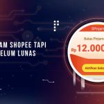 Cara Gunakan Shopee Multi Pinjam