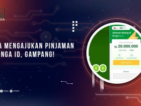 Cara Mengajukan Pinjaman di Singa IDa IDa.