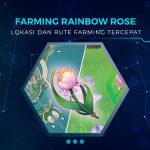 Lokasi dan Rute Farming Rainbow Rose