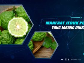Manfaat Jeruk Purut