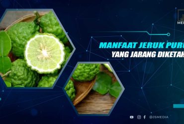 Manfaat Jeruk Purut