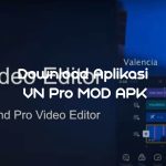 Download Aplikasi VN Pro MOD APK