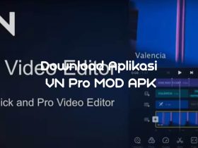 Download Aplikasi VN Pro MOD APK