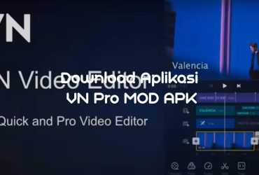 Download Aplikasi VN Pro MOD APK