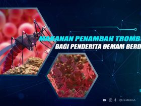 Makanan Penambah Trombosit
