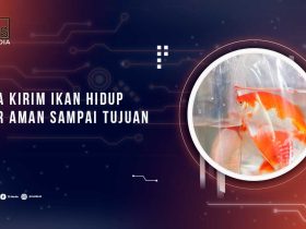 Tips Kirim Ikan Hidup