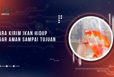 Tips Kirim Ikan Hidup