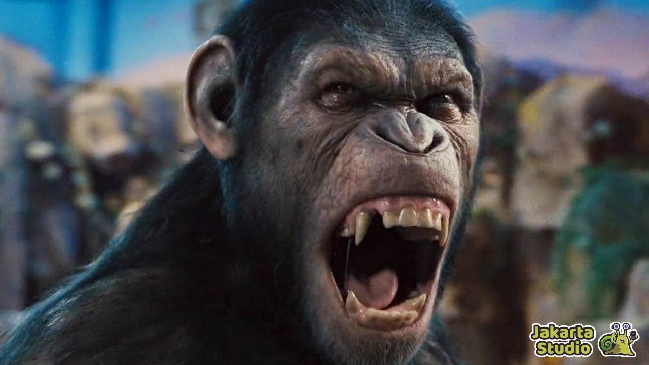 Urutan Nonton Film Planet of the Apes