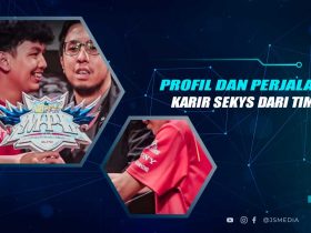 Profil Sekys
