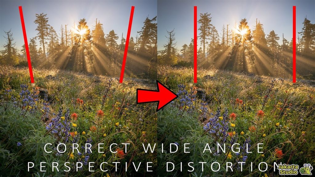 Solusi Distorsi Kamera Ultrawide