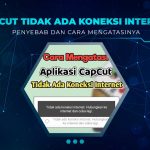Capcut Tidak Ada Koneksi Internet
