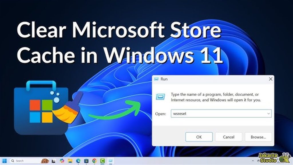 Microsoft Store Error