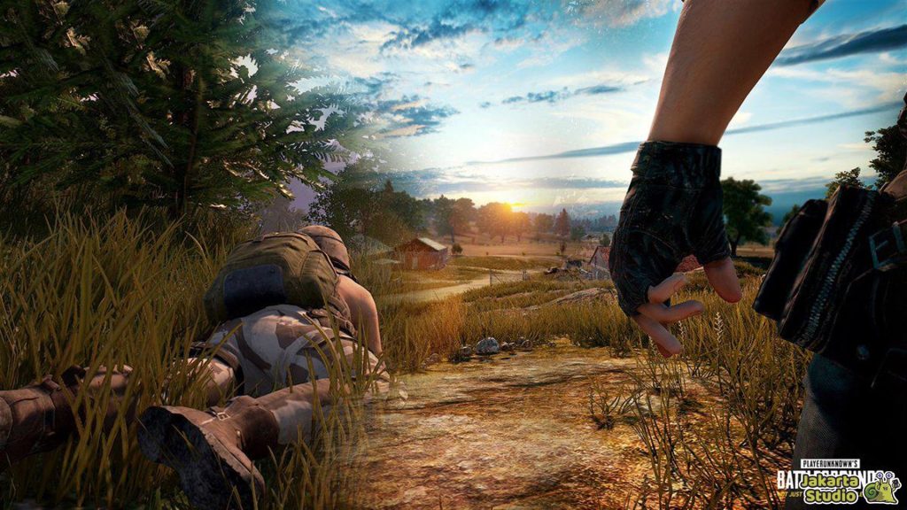 Role PUBG Mobile