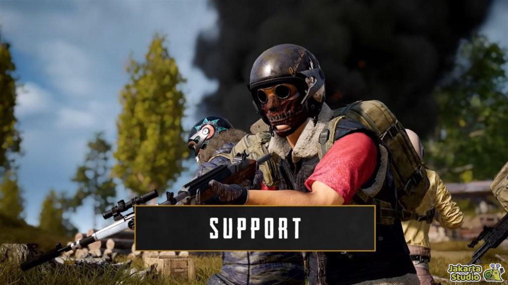Role PUBG Mobile